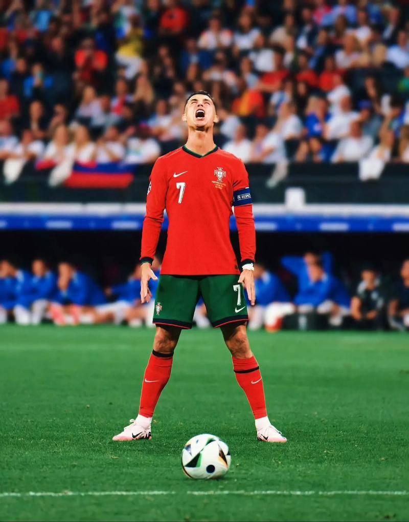 张与激情 张与激情