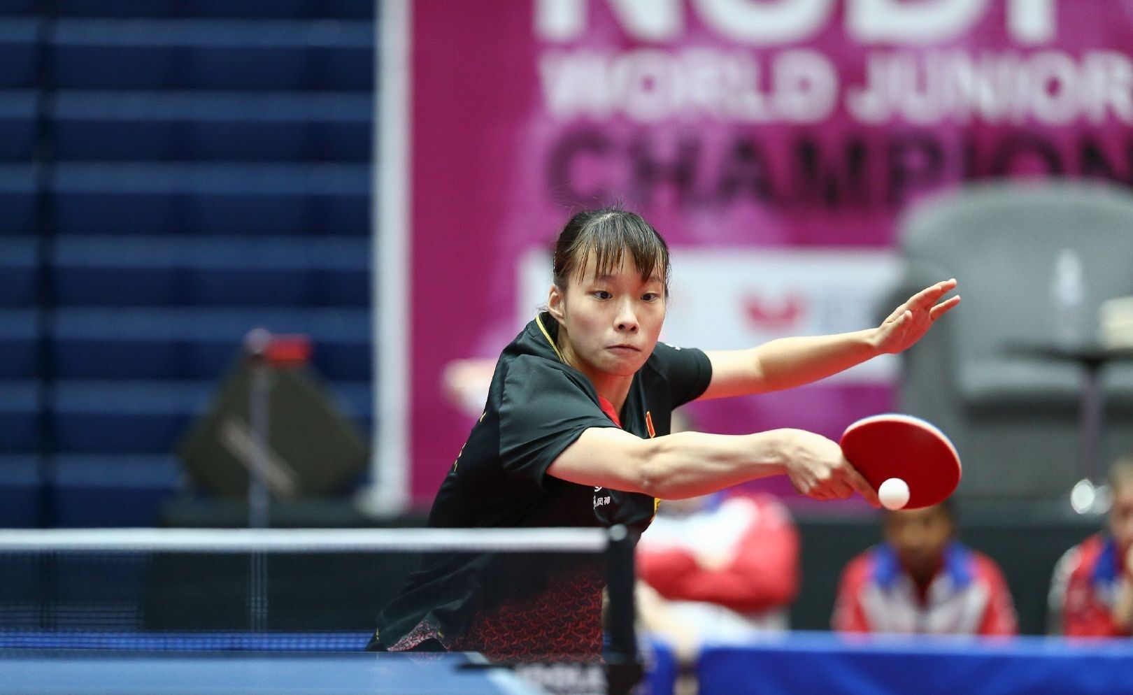 加和武切维 加和武切维