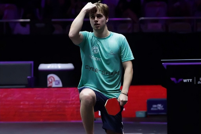 家赢得荣誉 家赢得荣誉