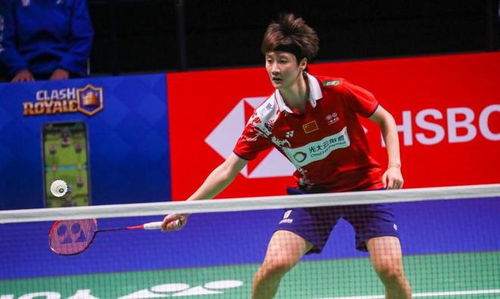 却没料到这 却没料到这