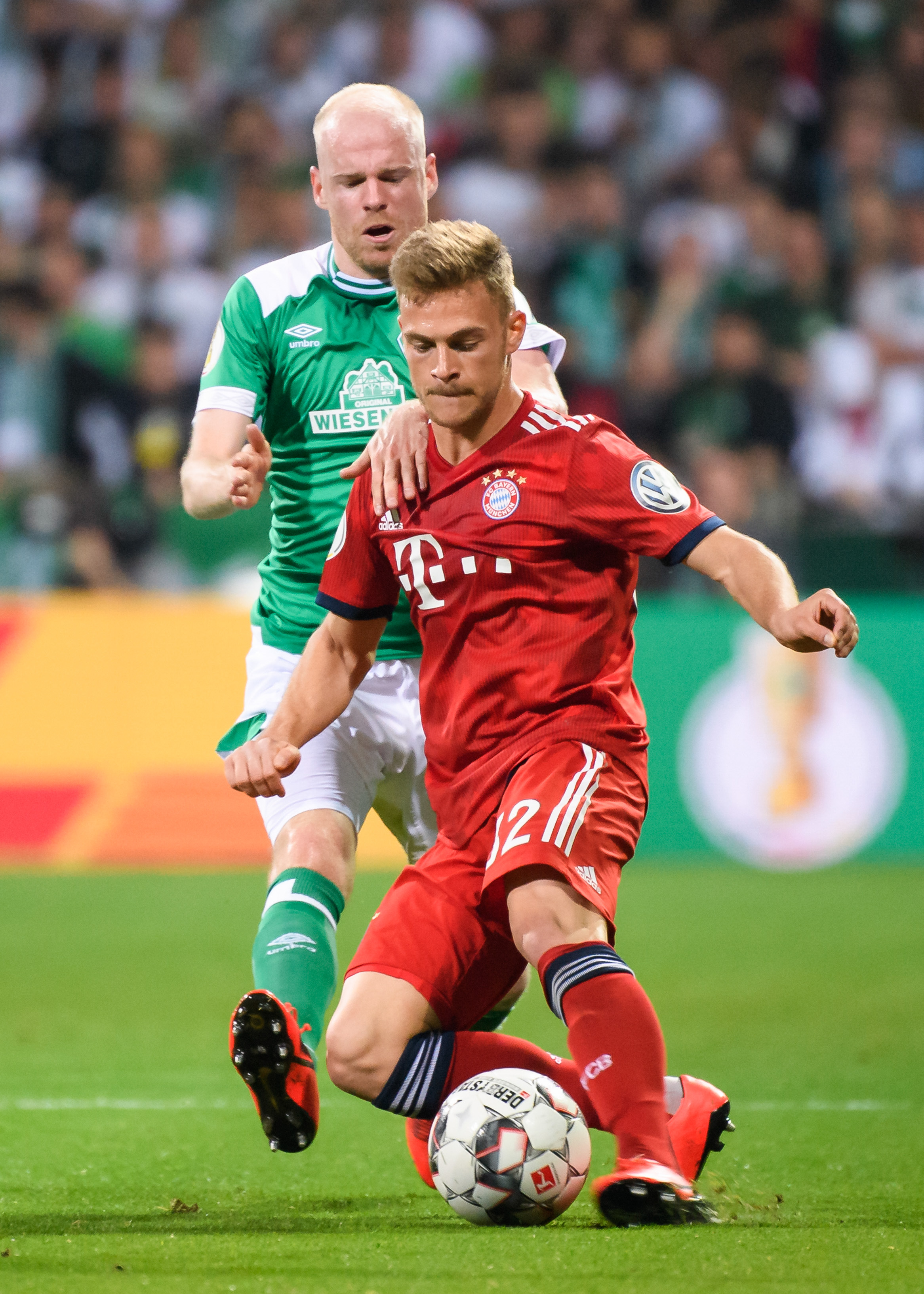 哈兰德的加 哈兰德的加