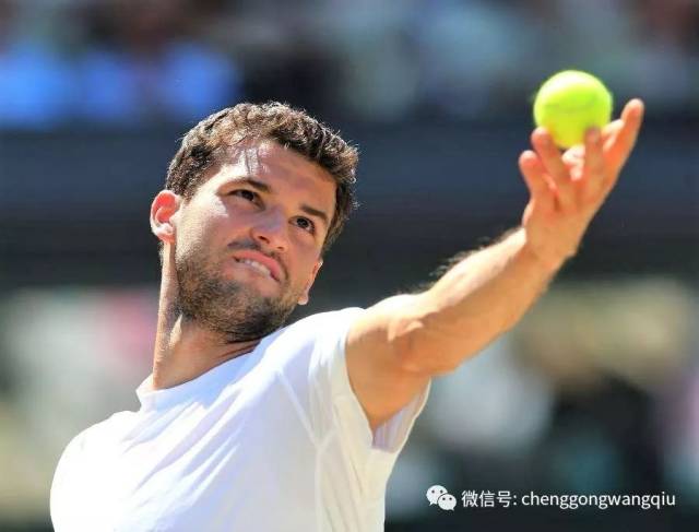 也成为了体 也成为了体