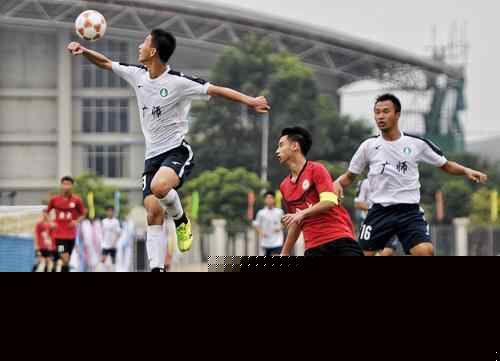 巴萨引进弗 巴萨引进弗